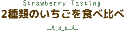 2種類のいちごを食べ比べ